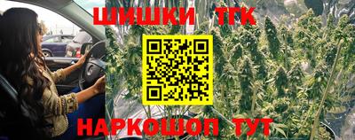 индика Ртищево
