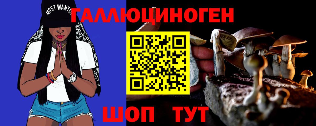 Галлюциногенные грибы Cubensis  Вход с VPN  Карталы 